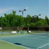 Xtarps, MN-TM-B1012, Tennis Court Wind Screen, 10'W x 12'L, Black